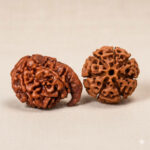 Ganesh-Lakshmi Rudraksha Samriddhi Kit
