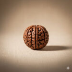Natural 9 Mukhi Rudraksha (Indo)