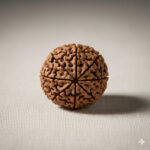 Natural Nepali 11 Mukhi Rudraksha (Ekadash Mukhi)