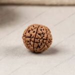 Natural Nepali 3 Mukhi Rudraksha (Teen Mukhi)