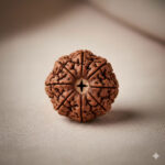 Natural Nepali 6 Mukhi Rudraksha (Shat Mukhi)