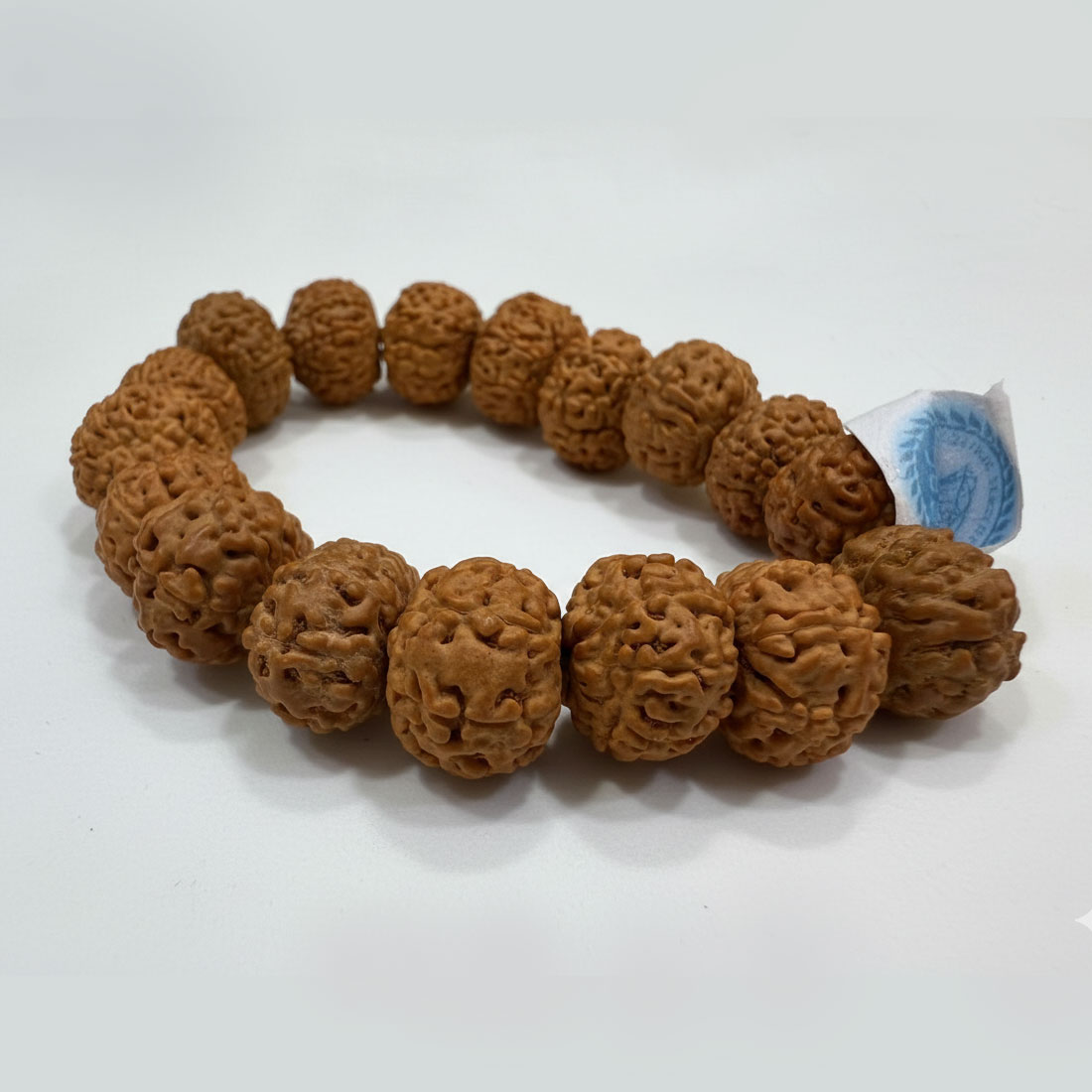 Rudraksha 9 Face / 9 Mukhi Rudraksha Bracelet (19.16 Beads) Brown - Image 8