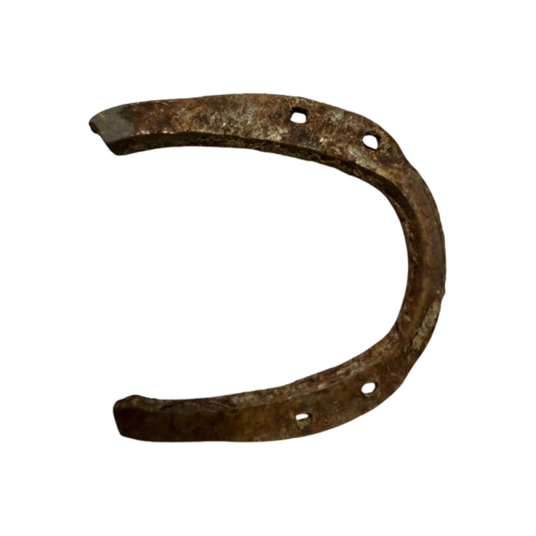 Kale Ghode Ki Naal काले घोड़े की नाल for Shani Dosh Nivaran, Nazar Protection, Vastu Entrance Protection - Image 3