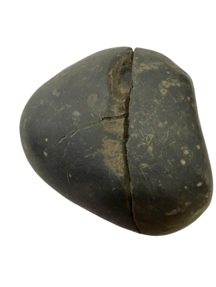 Natural Lakshmi Narayan Shaligram Shila 400–500g | Dual Chakra Vishnu Lakshmi Shila | Big Size Gandaki Nepal Original Shaligram for Puja, Vastu & Wealth - Image 5