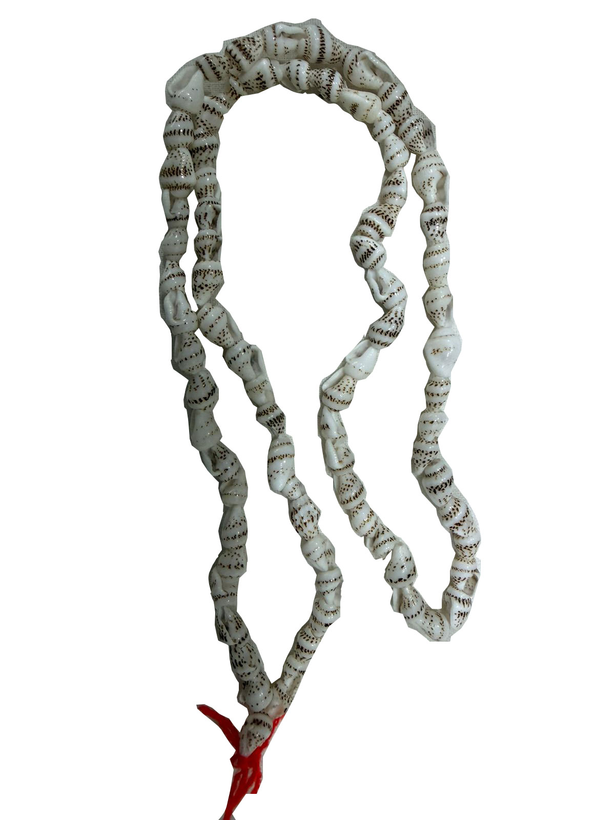 Original Shankh Mala / Shell Conch Japa Mala | Natural Seashell Turritella Garland | Lakshmi Puja Prosperity Necklace for Men & Women - Image 4
