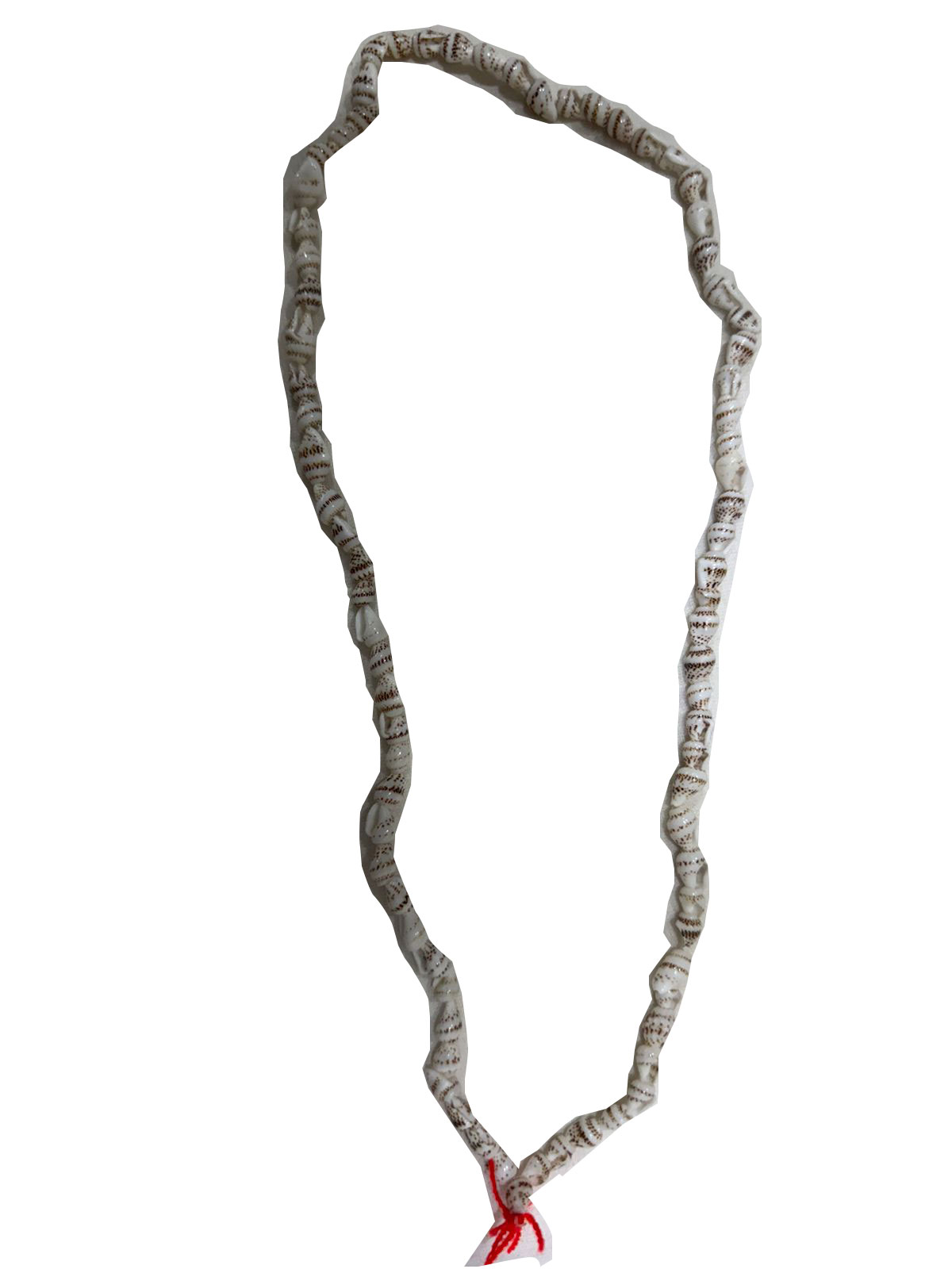 Original Shankh Mala / Shell Conch Japa Mala | Natural Seashell Turritella Garland | Lakshmi Puja Prosperity Necklace for Men & Women - Image 5