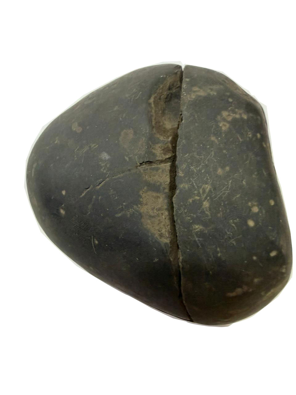 Natural Lakshmi Narayan Shaligram Shila 400–500g | Dual Chakra Vishnu Lakshmi Shila | Big Size Gandaki Nepal Original Shaligram for Puja, Vastu & Wealth - Image 17