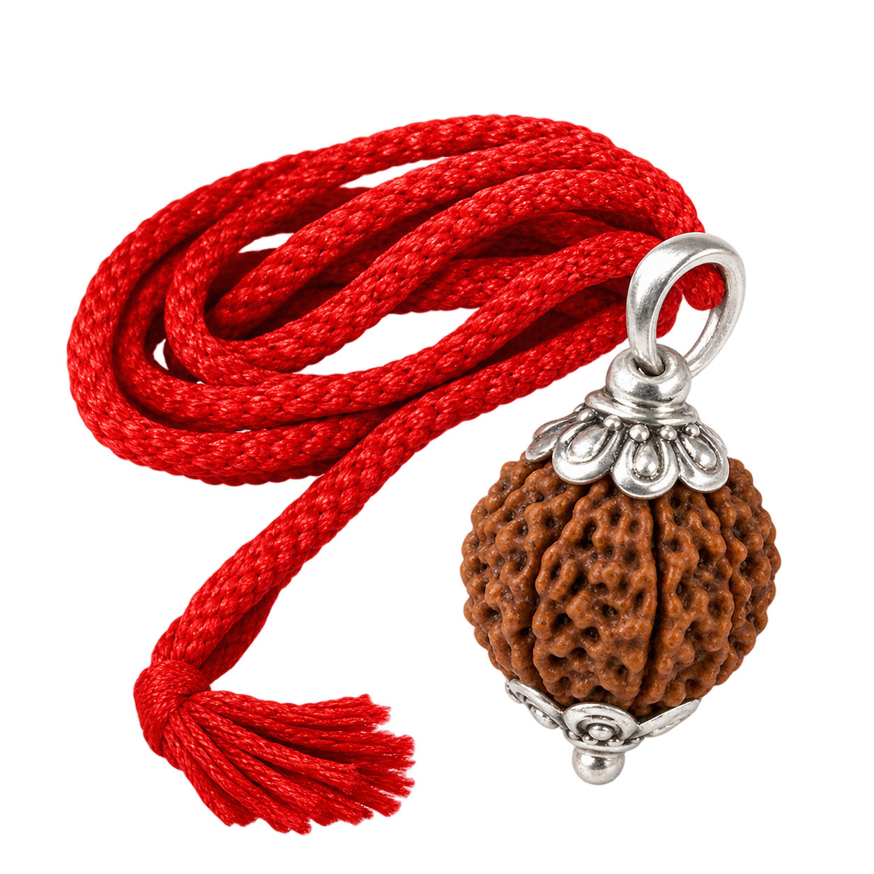 10 Mukhi Rudraksha Bead (दस मुखी रुद्राक्ष) with Red Thread – Lord Vishnu – Lab Certified - Image 4