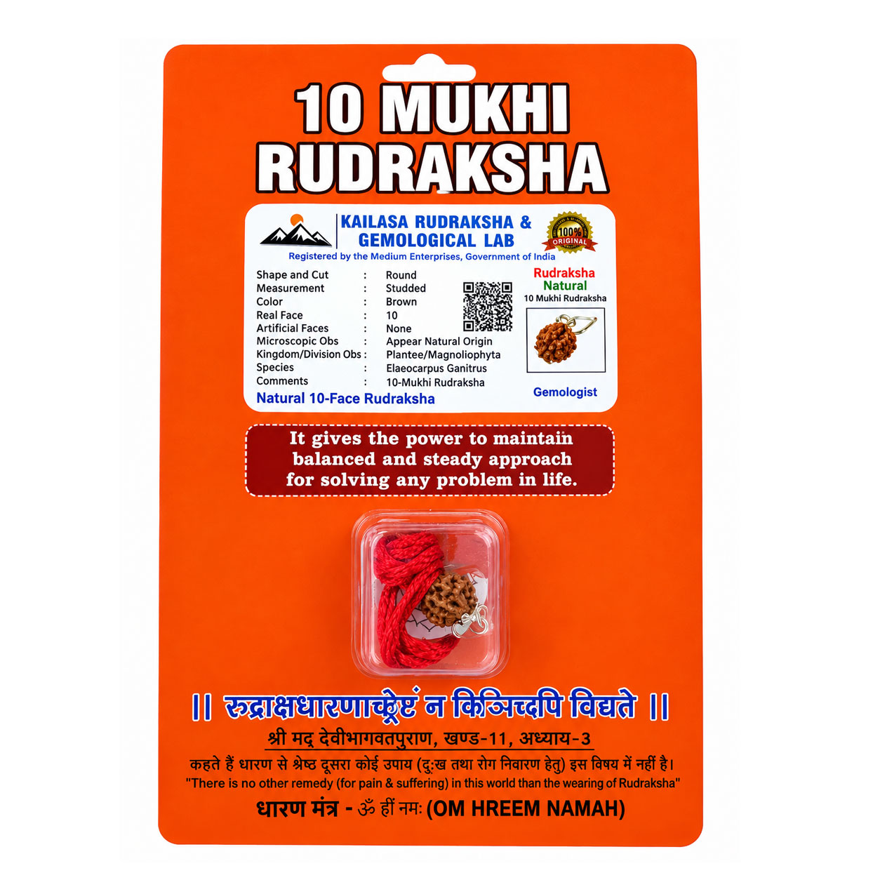 10 Mukhi Rudraksha Bead (दस मुखी रुद्राक्ष) with Red Thread – Lord Vishnu – Lab Certified - Image 2