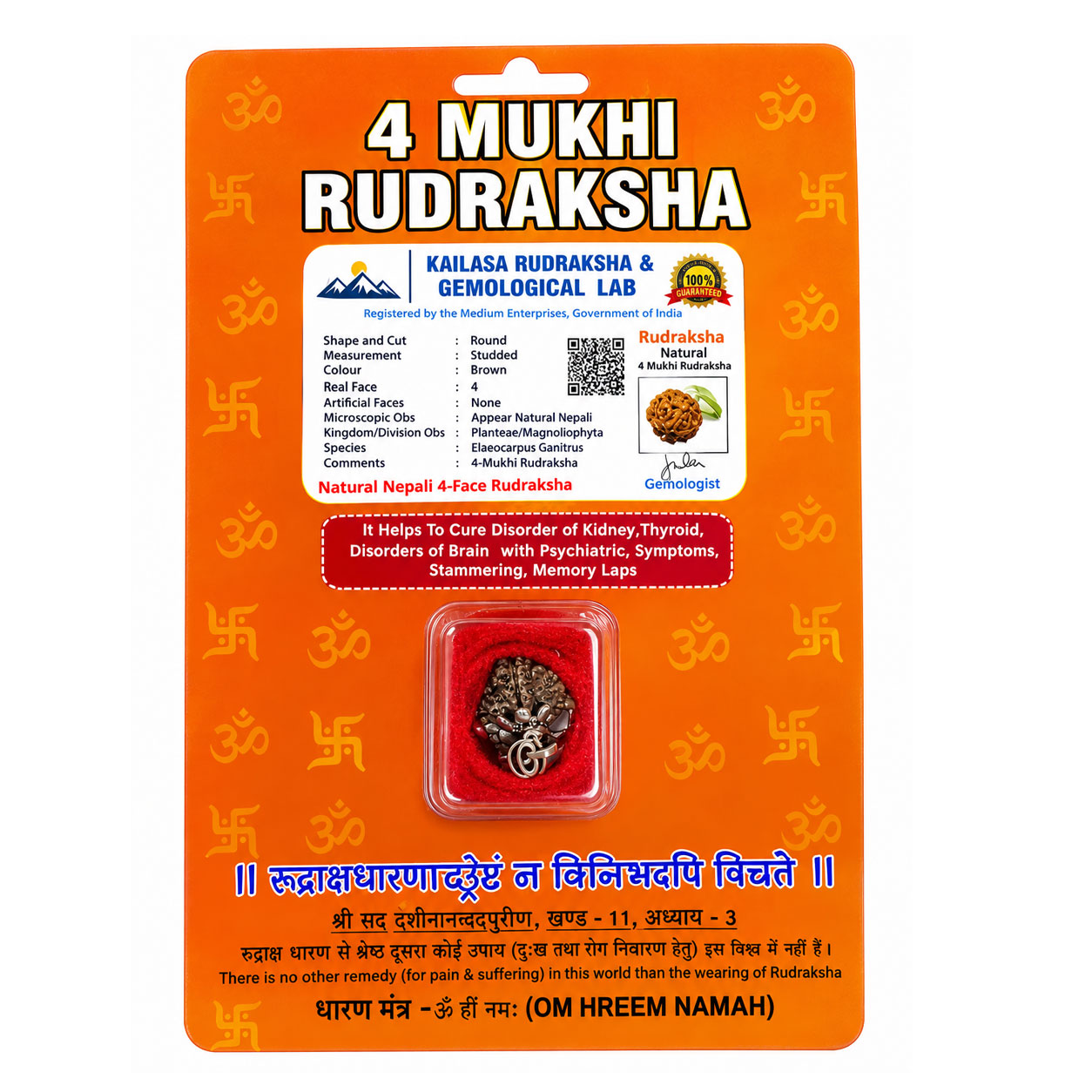 4 Mukhi Rudraksha | Four-Faced Natural Rudraksha | Lord Brahma | Mercury Graha | Intelligence, Communication & Spiritual Growth - Image 2