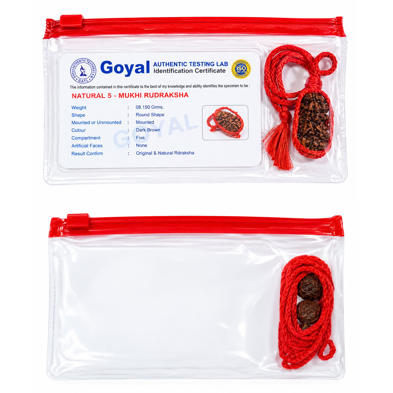 Panchmukhi 5 Mukhi Rudraksha | Two Natural Five-Faced Beads | Lord Shiva | Jupiter | Peace, Focus & Spiritual Growth - Image 2