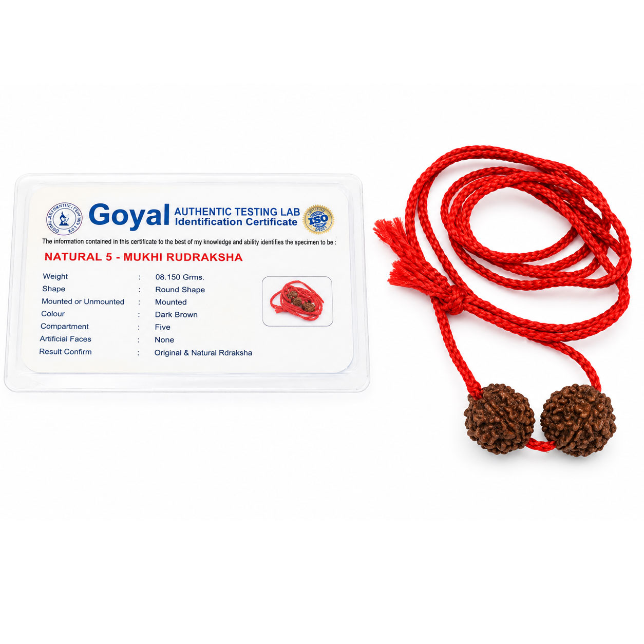 Panchmukhi 5 Mukhi Rudraksha | Two Natural Five-Faced Beads | Lord Shiva | Jupiter | Peace, Focus & Spiritual Growth - Image 3