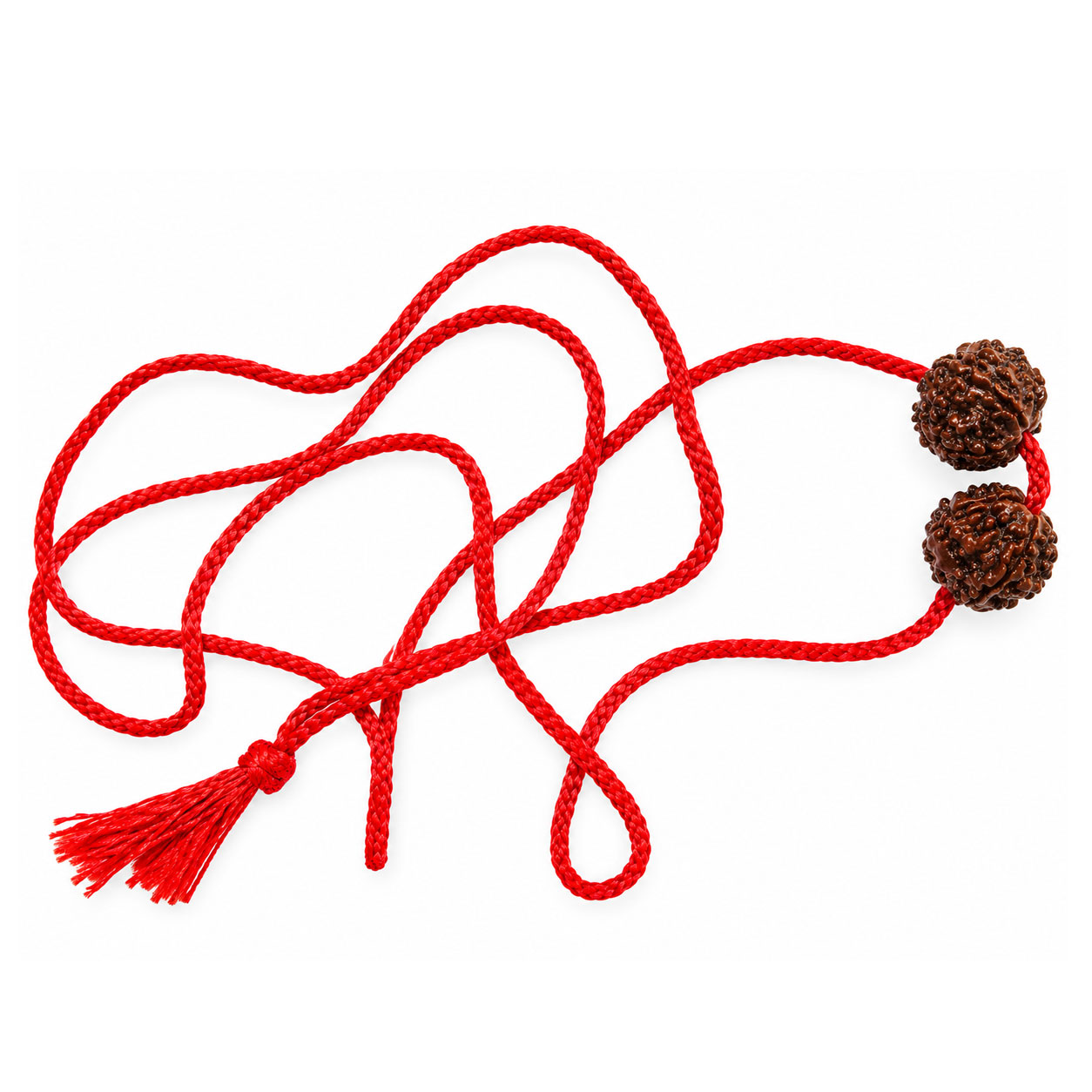 Panchmukhi 5 Mukhi Rudraksha | Two Natural Five-Faced Beads | Lord Shiva | Jupiter | Peace, Focus & Spiritual Growth - Image 4