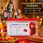 Panchmukhi 5 Mukhi Rudraksha | Two Natural Five-Faced Beads | Lord Shiva | Jupiter | Peace, Focus & Spiritual Growth