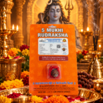 5 Mukhi Rudraksha | Panchmukhi Natural Rudraksha | Lord Shiva | Jupiter (Guru) | Peace, Wisdom & Spiritual Growth