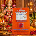 7 Mukhi Rudraksha | Seven-Faced Natural Rudraksha | Goddess Mahalakshmi | Shani Graha | Wealth, Stability & Spiritual Wear