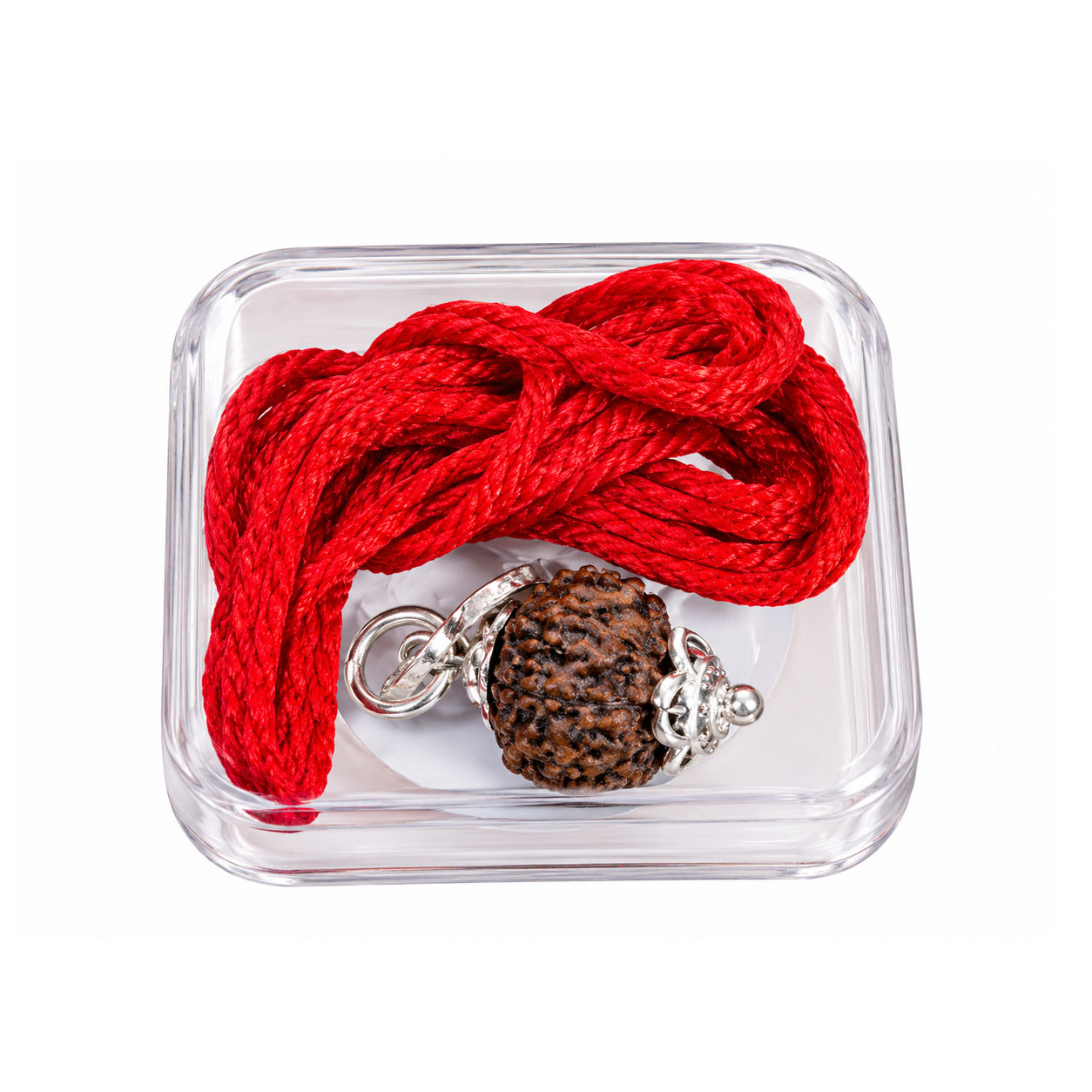 9 Mukhi Rudraksha | Nine-Faced Natural Rudraksha | Maa Durga & Nav Durga | Courage, Protection & Spiritual Wear - Image 4