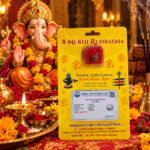 8 Mukhi Rudraksha | Eight-Faced Natural Rudraksha | Lord Ganesha | Rahu Graha | Obstacle Removal, Focus & Spiritual Wear